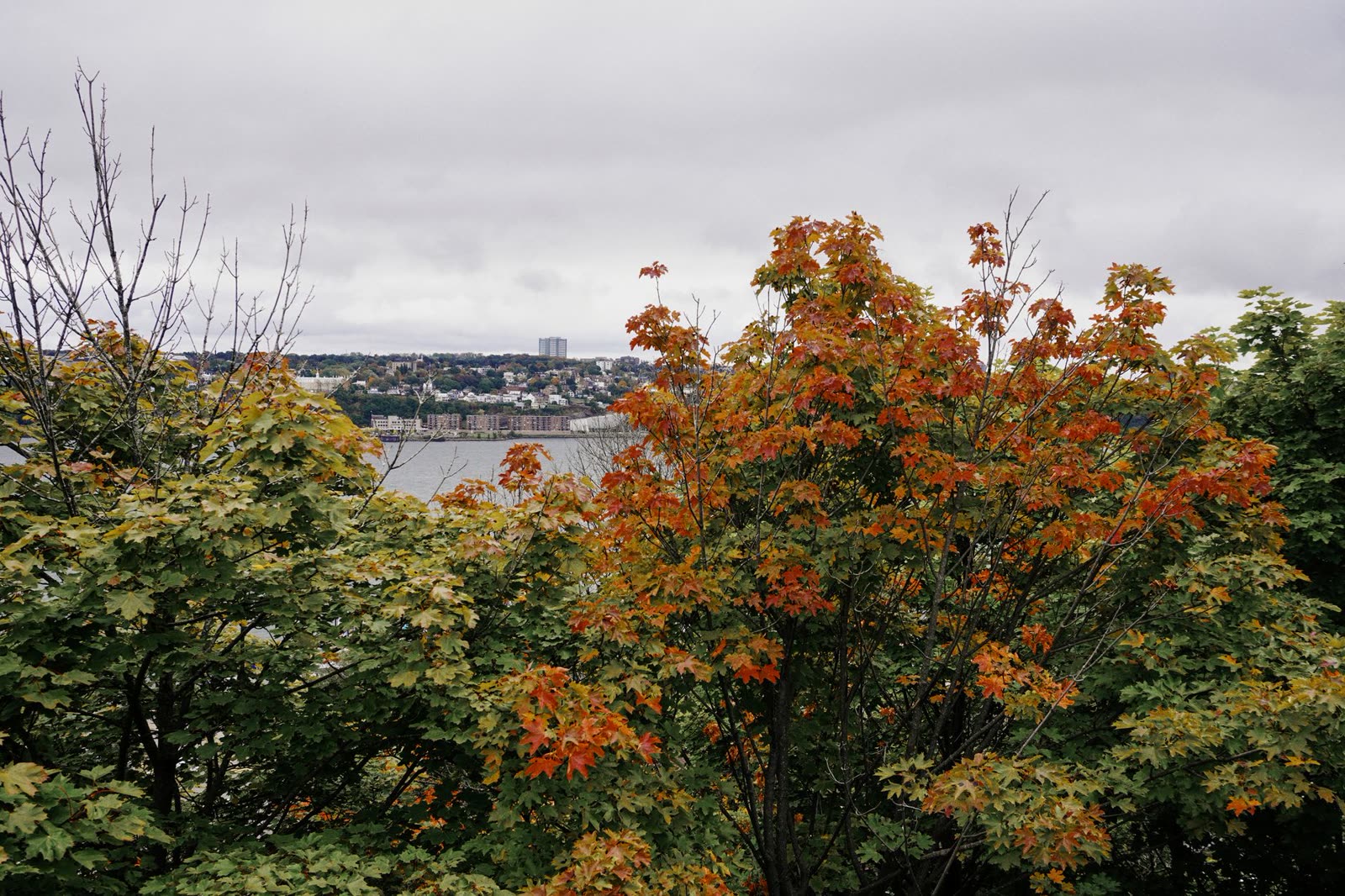 people walking outdoors in light jackets on a breezy gray autumn afternoon / wind blowing fallen leaves down a small southern town street / overcast sky over a river town in late autumn