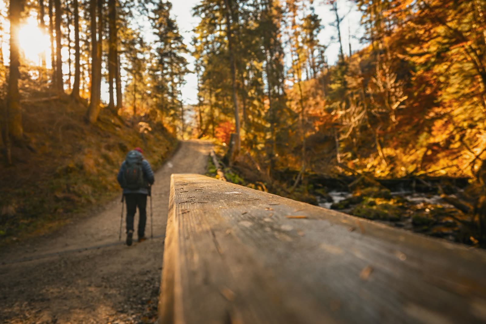 hikers in light jackets on a wooded trail on a cool fall morning / family walking a paved riverside trail in autumn / autumn overlook from a Southern ridge with fall color