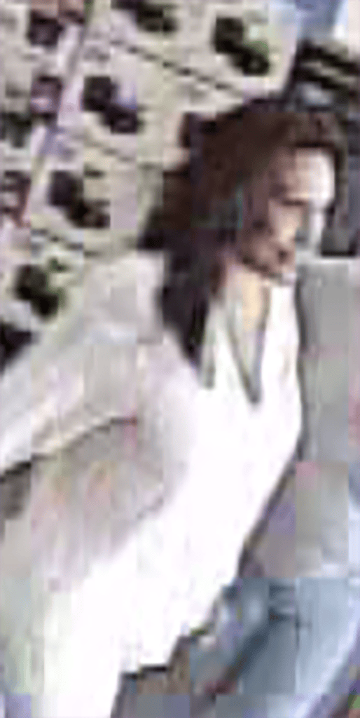 Opelika police needing public’s help in theft case – CNAW 2 with Colin ...