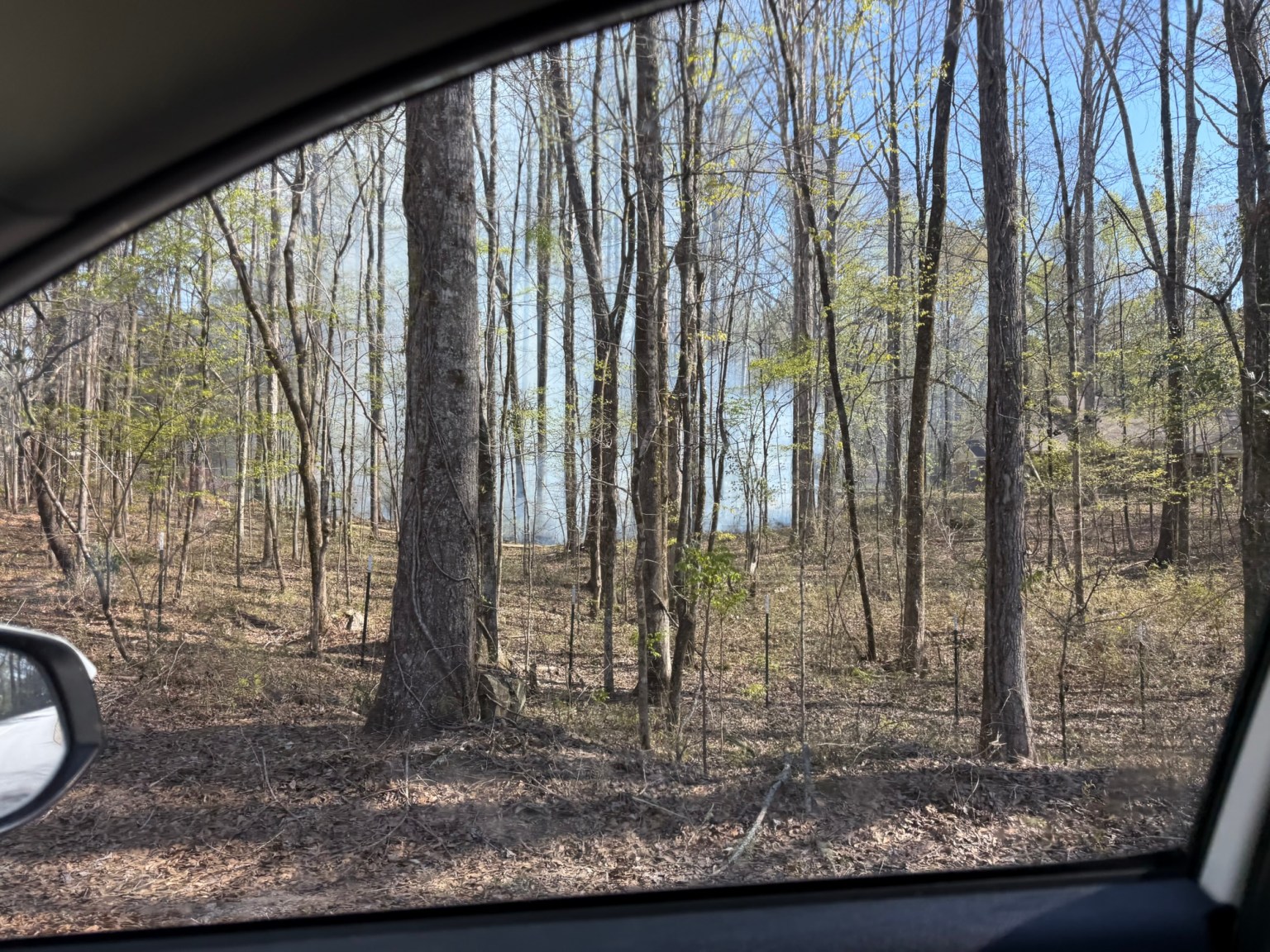 Smiths Station, Salem fire crews working to extinguish brush fire in ...