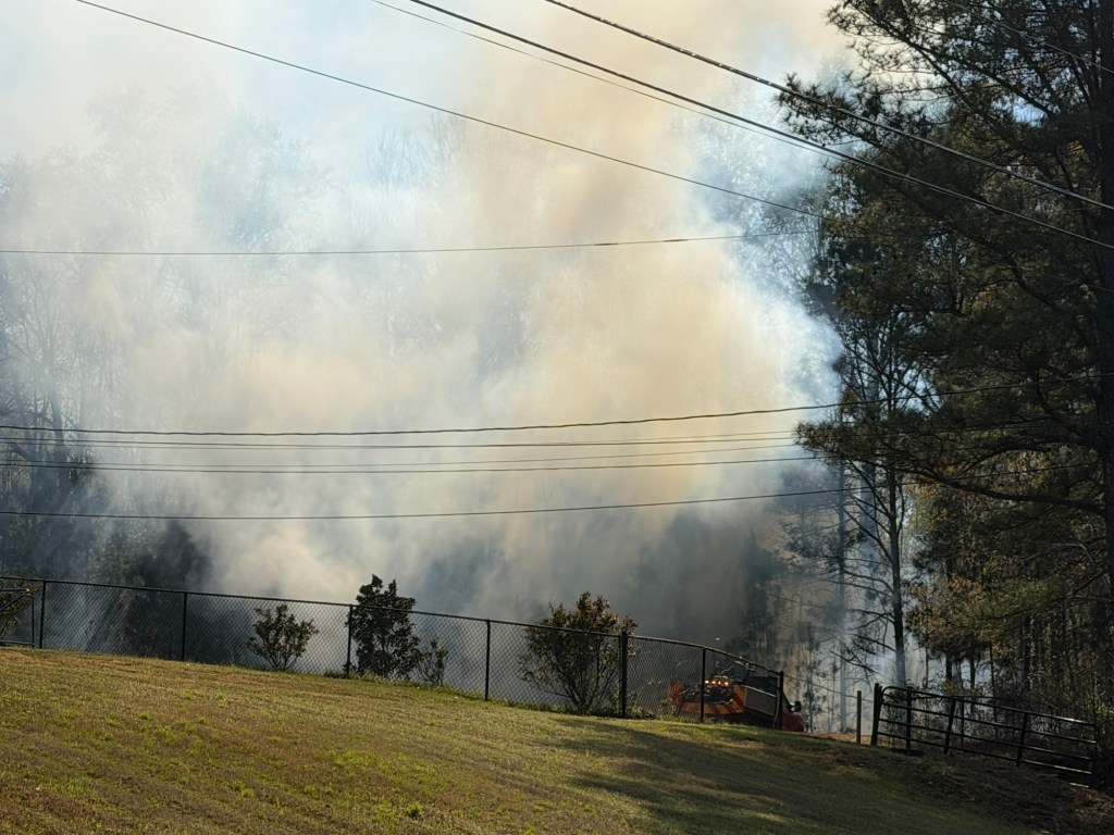 Smiths Station, Salem fire crews working to extinguish brush fire in ...
