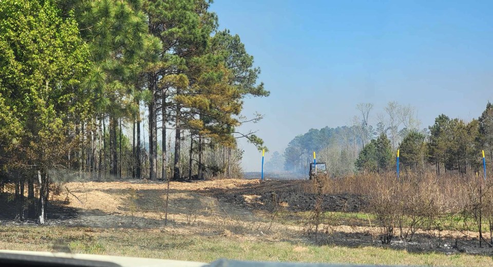 Fire crews working to extinguish woods fire in Waverly Hall – CNAW 2 ...