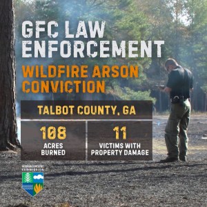 Columbus man sentenced for setting 108-acre wildfire in Talbot County